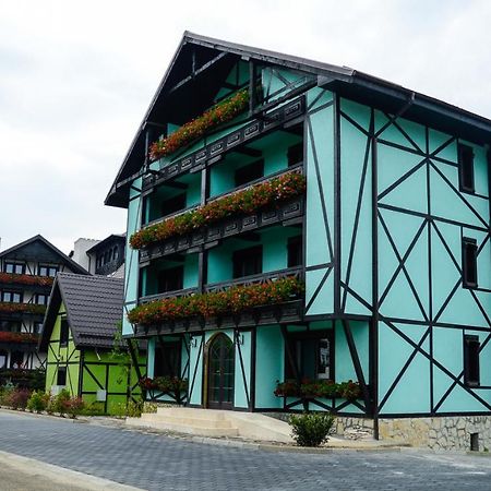 Vila Alsace Podu' Cu Lanturi Bacău エクステリア 写真