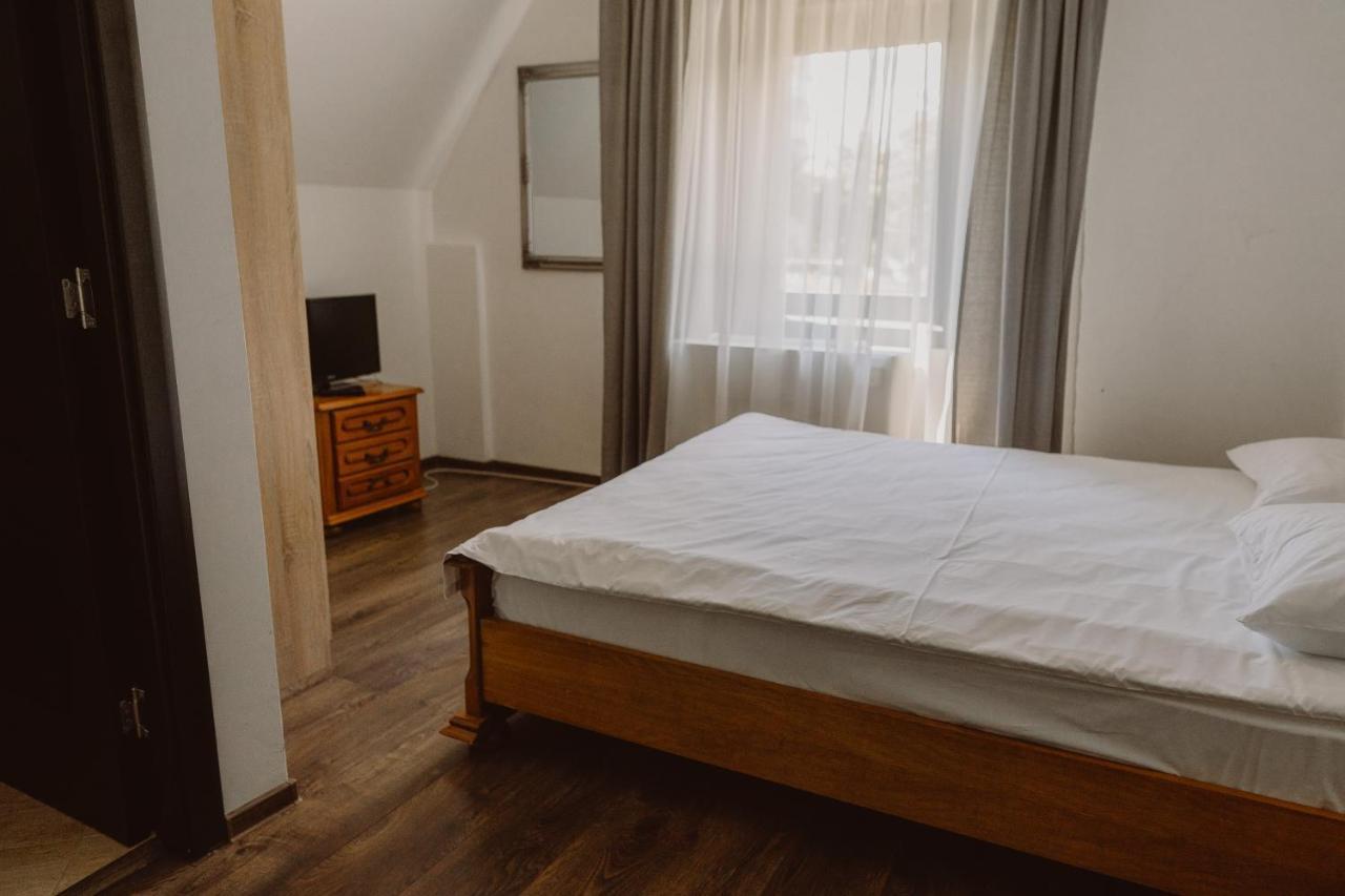 Vila Alsace Podu' Cu Lanturi Bacău エクステリア 写真