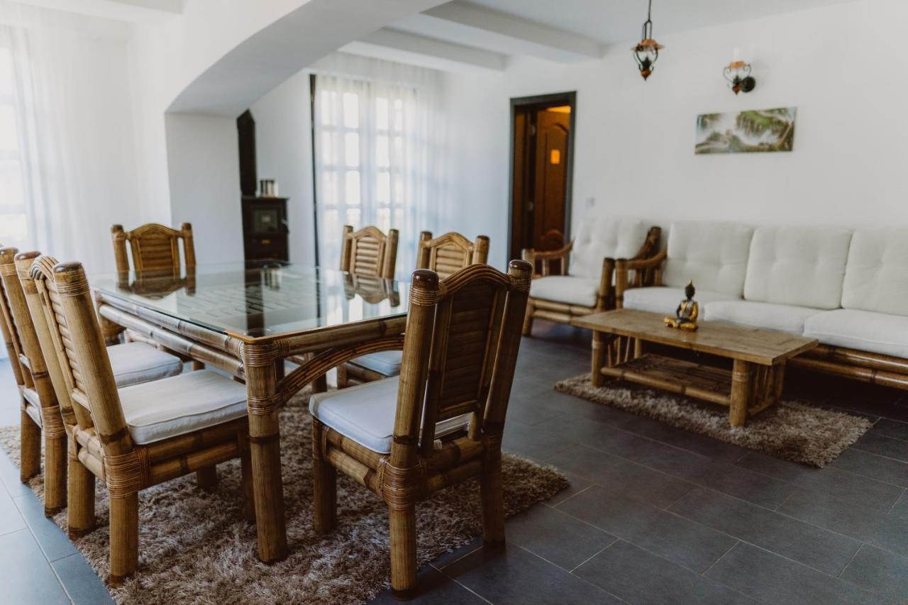 Vila Alsace Podu' Cu Lanturi Bacău エクステリア 写真