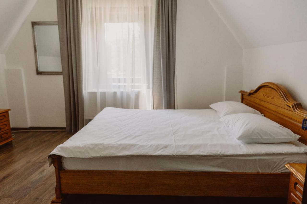 Vila Alsace Podu' Cu Lanturi Bacău エクステリア 写真