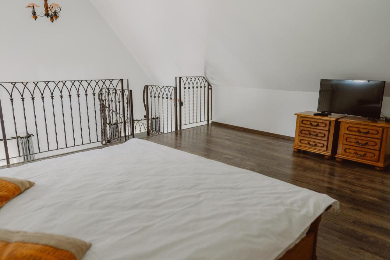 Vila Alsace Podu' Cu Lanturi Bacău エクステリア 写真