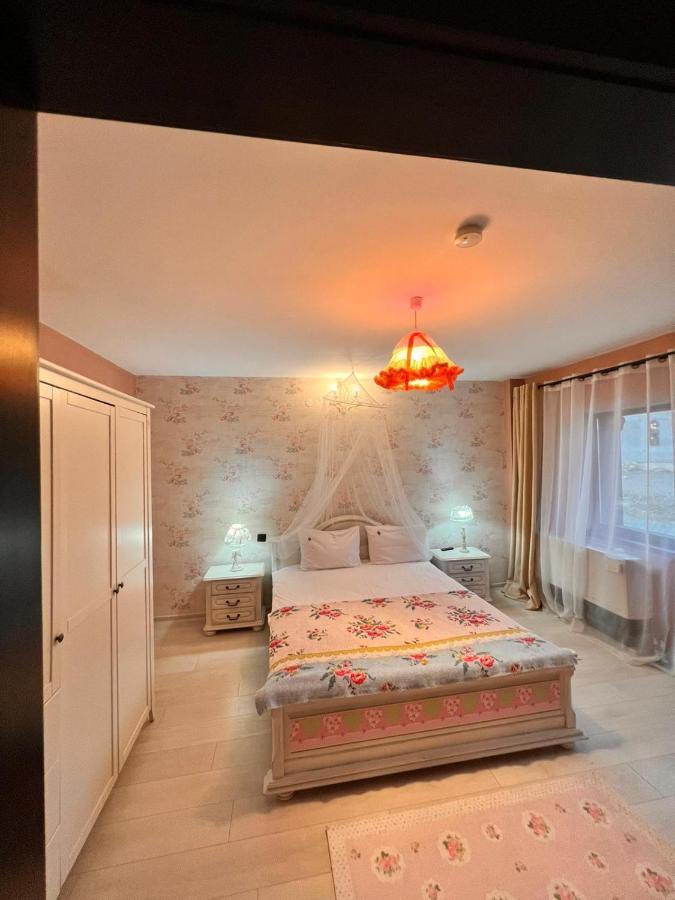 Vila Alsace Podu' Cu Lanturi Bacău エクステリア 写真