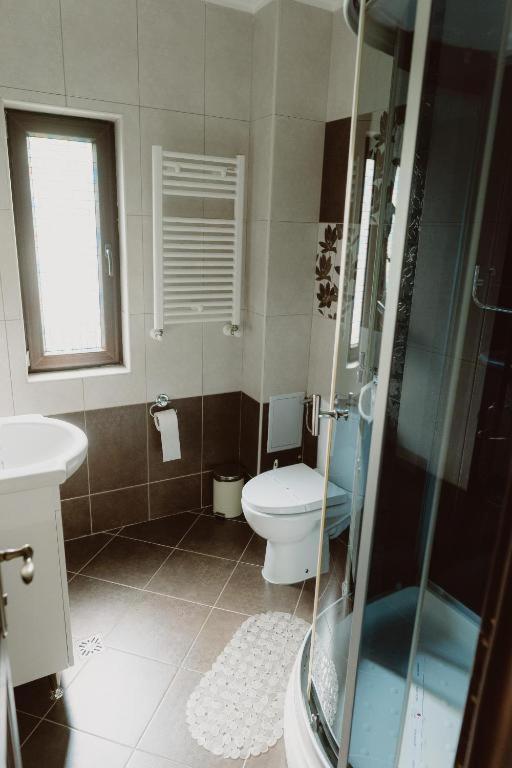 Vila Alsace Podu' Cu Lanturi Bacău エクステリア 写真