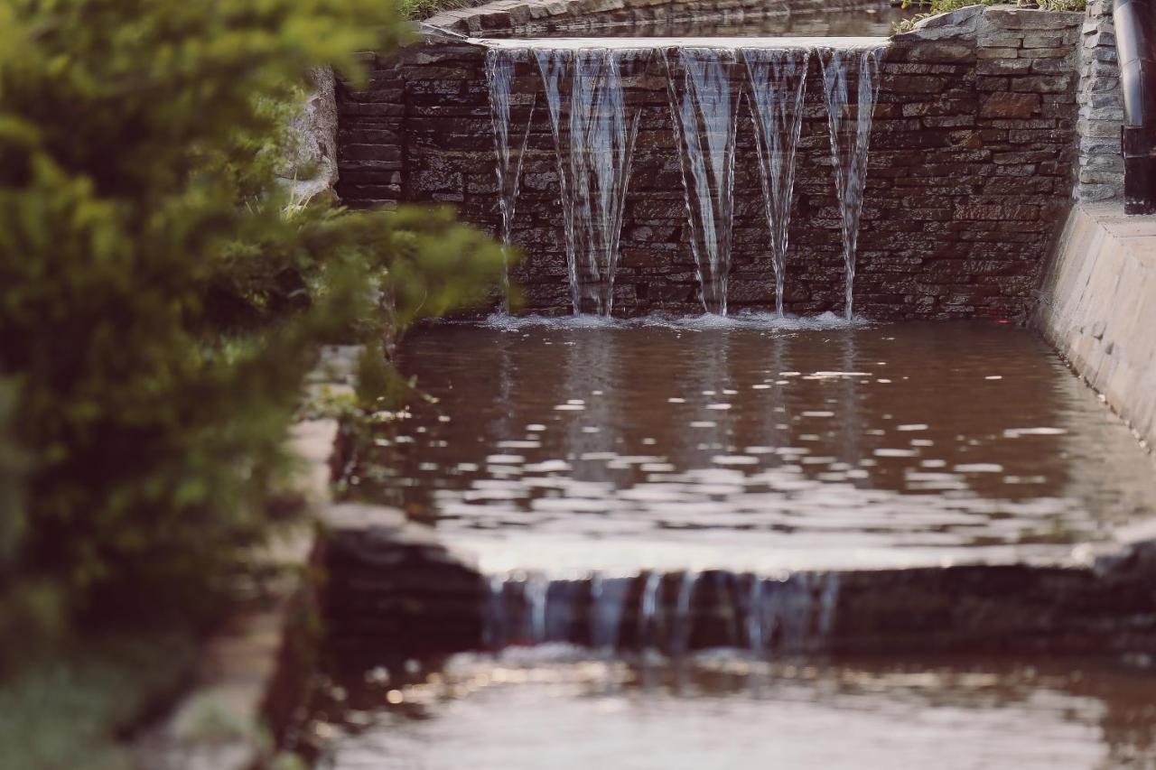 ホテル Vila Alsace Podu' Cu Lanturi Bacău エクステリア 写真